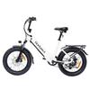 Bodywel F20 Folding Electric Snowmobile 500W Motor 48V13.5Ah Battery City E-Bike 20 Inch Anti-Skid Wide Tire Outdoor Riding Electric Bicycle