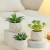 Small Indoor Potted Succulent - Artificial Green Plant Ornament for Home, Office, or Desktop Decor