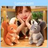 Plush Squirrel Cartoon Toy Cartoon Stuffed Doll Decoration Kids Gifts Cute
