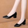 Woman Pumps Pointed Toe Shoes for Women with Medium Heels Moccasins Block Heel Chunky Chic Point Korean Style Footwear 39 Young