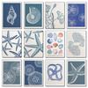 Blue Coastal Sea Antique Seashell Sketch Starfish Jellyfish Conch Poster Canvas Painting Print Wall Art for Kids Room Home Decor