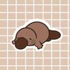 Platypus Sticker | Laptop Stickers Animal Stickers Durable for Laptop, Car, Luggage & More - Perfect for Teens, Adults, Creative Decor & Gifting