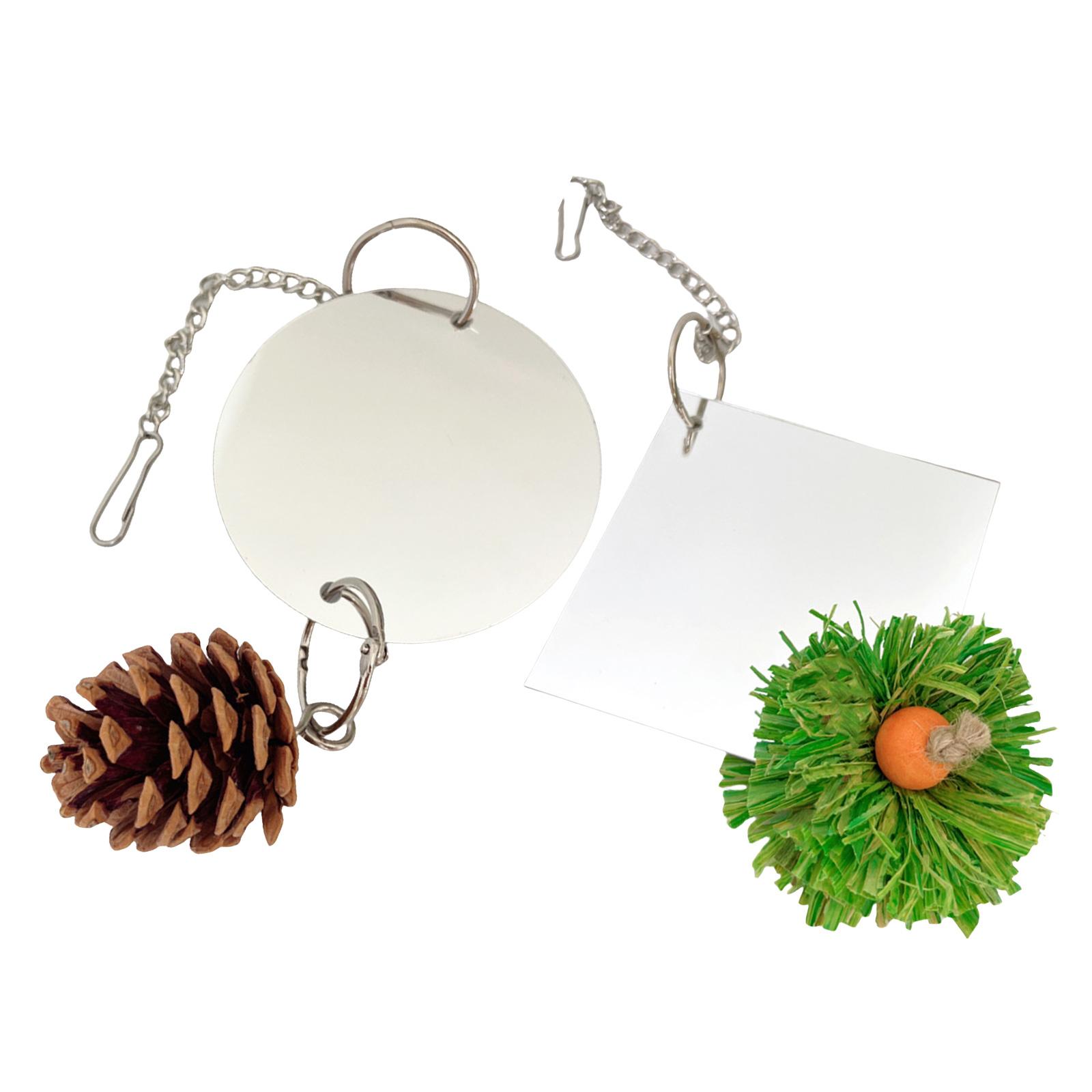 

Interactive Double Sided Mirror Parrot Toy Rotating Hanging Chewing Pinecone Toy for Bird Cages Bird Entertainment Toy