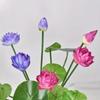 Vivid Simulation Lotus Leaf Pot Plastic Artificial Lotus Flower  Spring Home Office