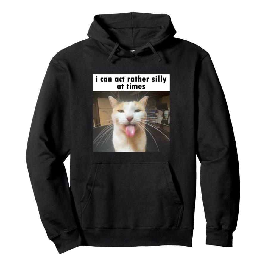 

I Can Act Rather Silly At Times, Funny Silly Cat Meme Hoodie Men Women Pullover Streetwear Soft Casual Sweatshirt Tops 0926-2 3XL
