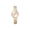 Eco-Drive Series 50M Water Resistant Quartz Watch Women Watches Gold EW5503-59W