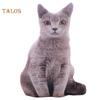 Baby-k 50cm Cute Simulation Three-dimension Cat Pillow Tiger Pattern Plush Doll Toy