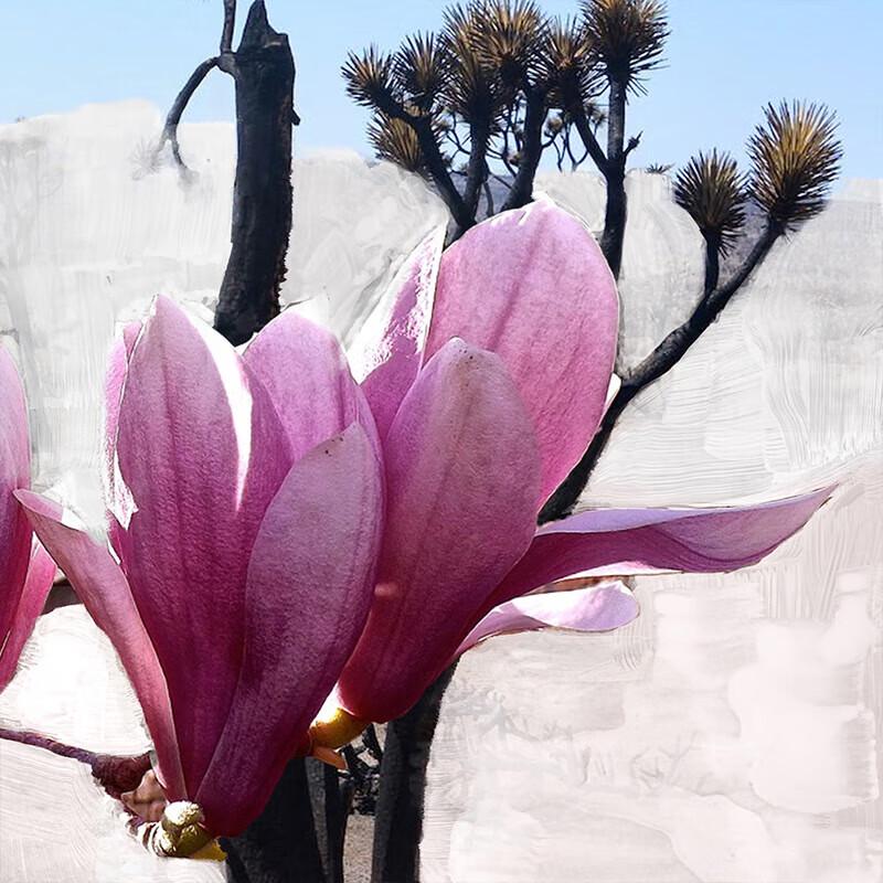 Byredo Mojave Ghost Fragrance Body Experience Set