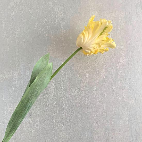 Kunstig tulipan realistisk falsk blomst med blader ingen vedlikehold falsk tulipan for hjemmedekor bryllupsfest bordpynt