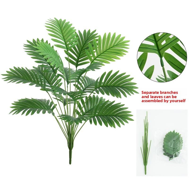 Lutescens Dypsis Greenery For Interior Decor And Garden Photography Props