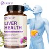Liver Health - Upport Liver Health & Function - with Milk Thistle, Dandelion