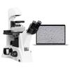 AOSVI BX22P-3M180 Digital Biological Microscope