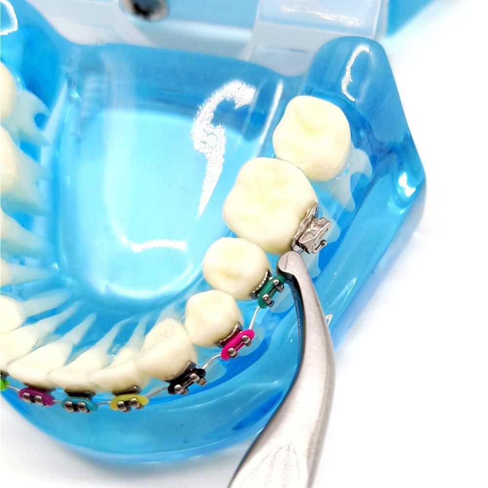 Vysoce kvalitní dentální ortodontický držák drátu Jak Užitkové kleště 13CM s ozubeným zakřiveným hrotem Nástroj pro dentální nástroje Nástroj pro zubní lékaře
