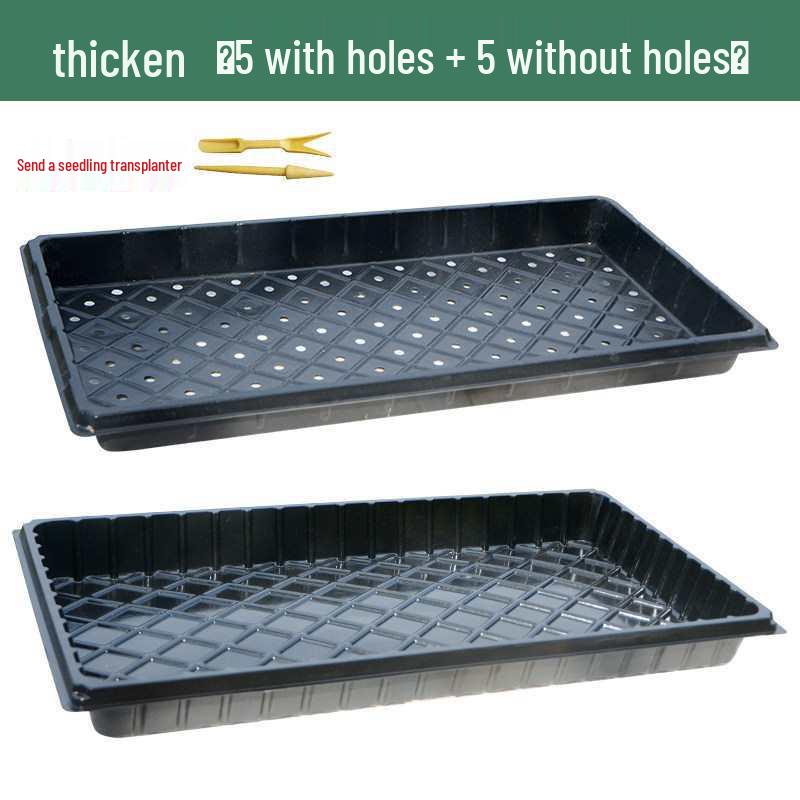 Thickened Plastic Succulent Seedling Tray for Cultivation & Cutting