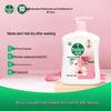 Dettol Moisturizing Antibacterial Hand Wash, Floral Scent