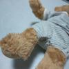 [USED] Steiff Teddy Bear