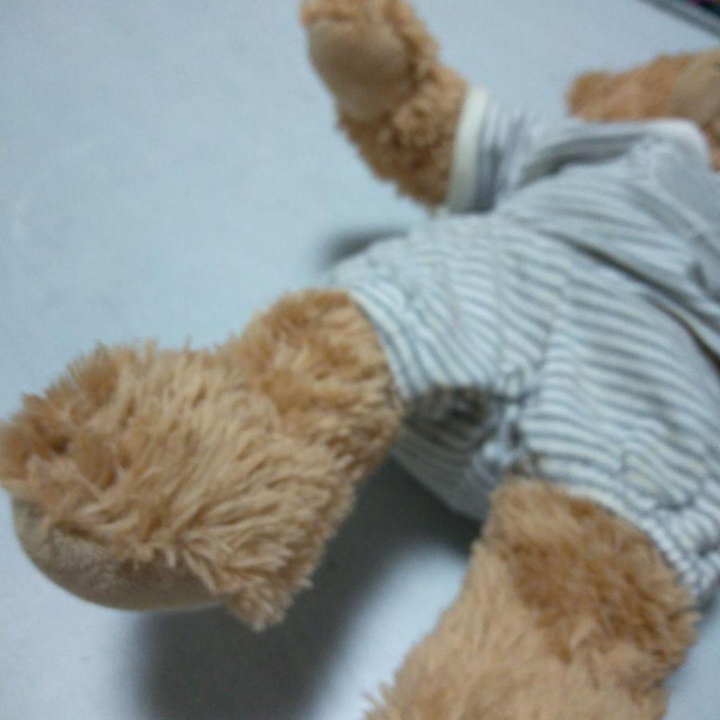 [USED] Steiff Teddy Bear