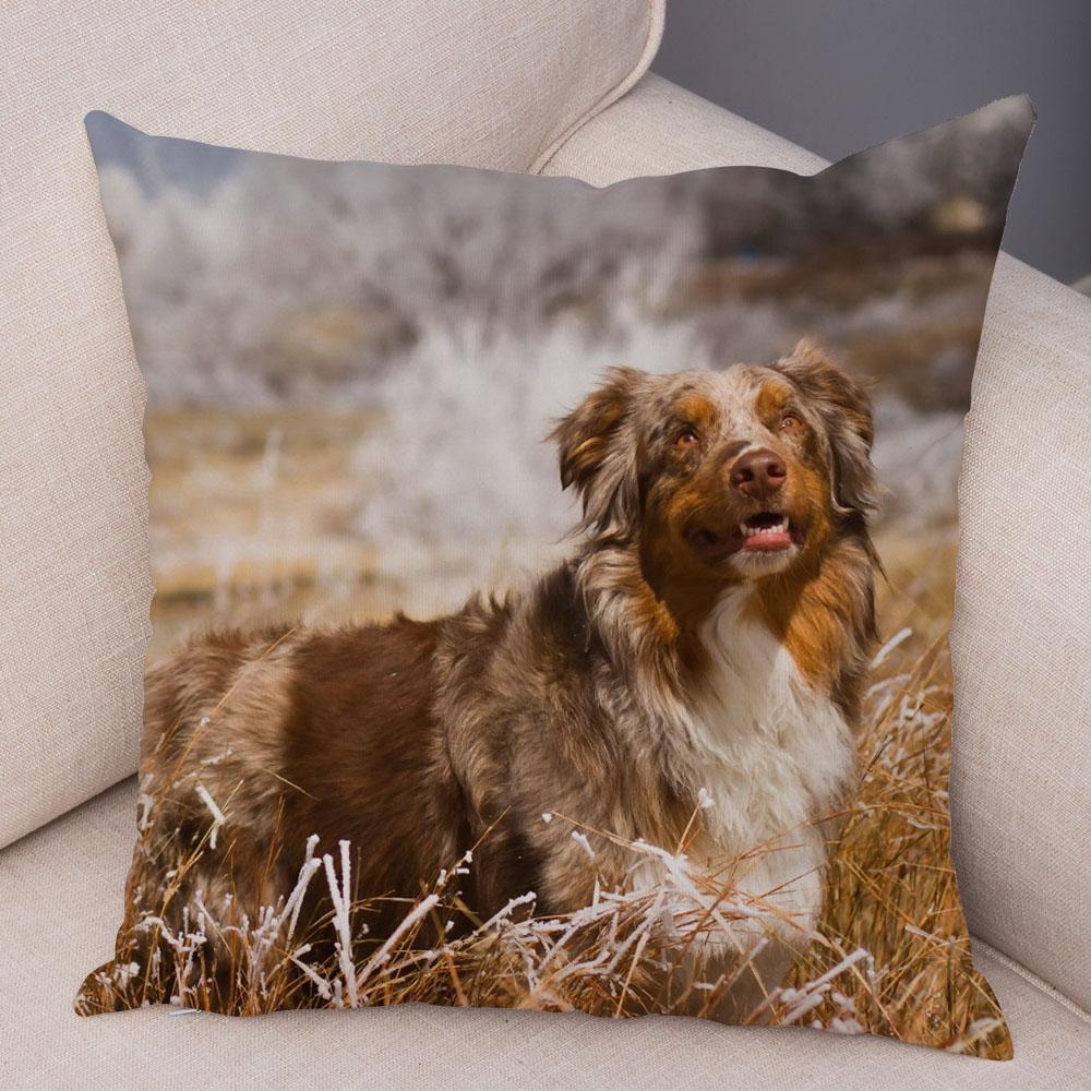 Cute Scottish Border Collie Pillowcase Dog Print  Decor Pet Animal Cushion Cover Sofa