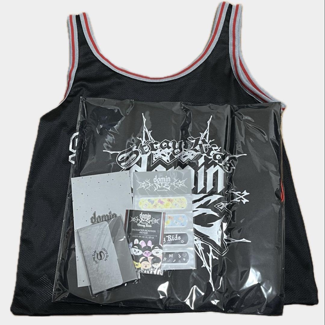 

[ВИКОРИСТАНО] Stray Kids Sukiz dominATE Бонус покращення Ecopa