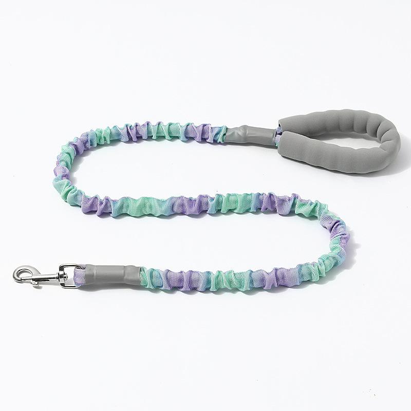 

Pet Nylon Leash Colorful Extendable Traction Cord With Shock Absorption For Pet Green Purple