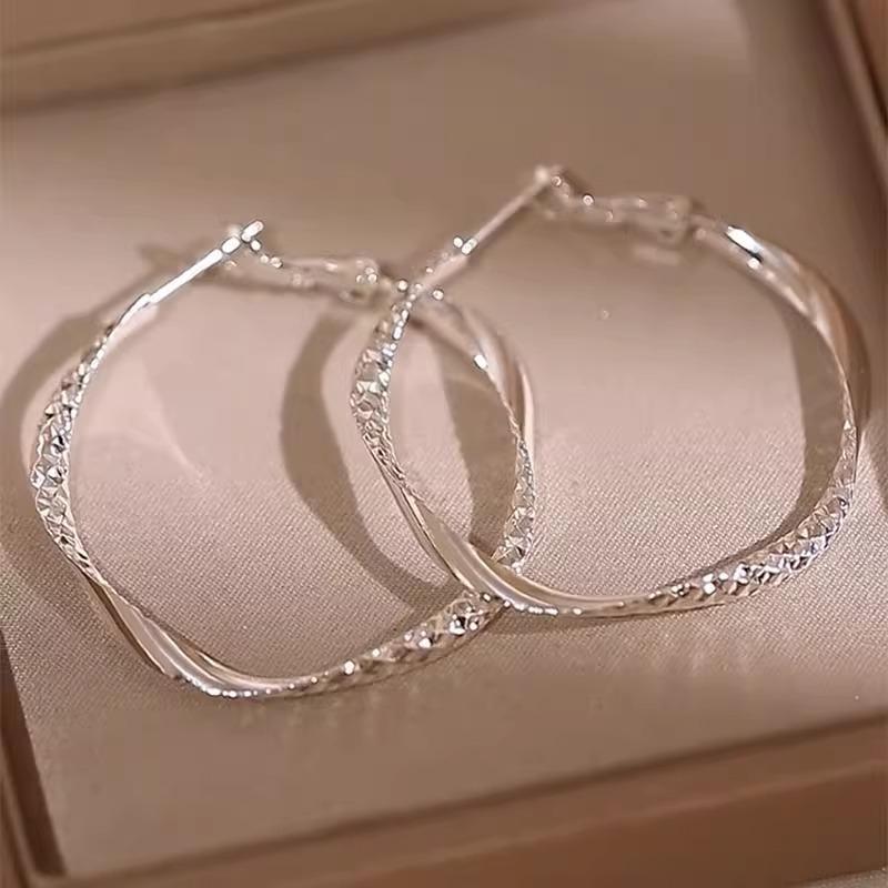 Chic Twisted Hoop Textured Metal Earrings for Women основного изображения