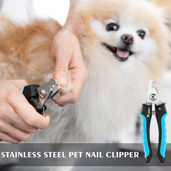 Candure Dog Nail Clippers for Dog Claw Cutting and Cat Nail Clippers- Stainless Steel Dog Grooming Nail Clippers for Ani2