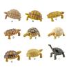 Turtle Cognitive Toys Adorable Delicate Plastic Galapagos Tortoise Decoration Model for Kids