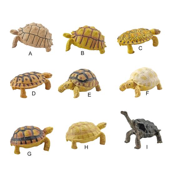 Turtle Cognitive Toys Adorable Delicate Plastic Galapagos Tortoise Decoration Model for Kids