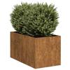 VidaXL Rusty Planter 40x80x40 Cm Stainless Steel, Flower Pot, Plant Stand, Raised Bed, Stand of 860737
