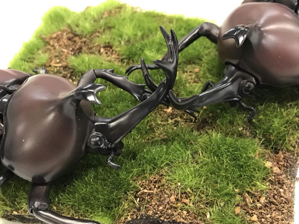 Free Research Series Living Creatures Beetle Plastic Model No.21