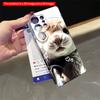 2DFlat Samsung Phone Case Adorable Otter Selfie with Heart & Star Stickers Applicable To Galaxy S22 S23 S24 S25ULTRA S26 A12 A13 A14 A15 A16