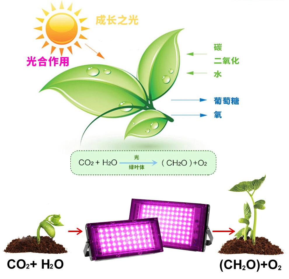 2026 NEW 50W-300W LED Full-spectrum Plant Light for Seedlings Succulent Fill Light Full-band Plant Growing Lamps Pink Light Hot