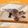Cute And Lovely Crocodile Plush Toy For Photo Props And Home Decoration 100cm