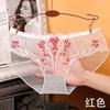 Slip in Rete Trasparenti da Donna Mutandine Erotiche Ricamo Floreale Biancheria Intima Pantaloncini Ultra Sottili Lingerie Slip Vedo Non Vedo