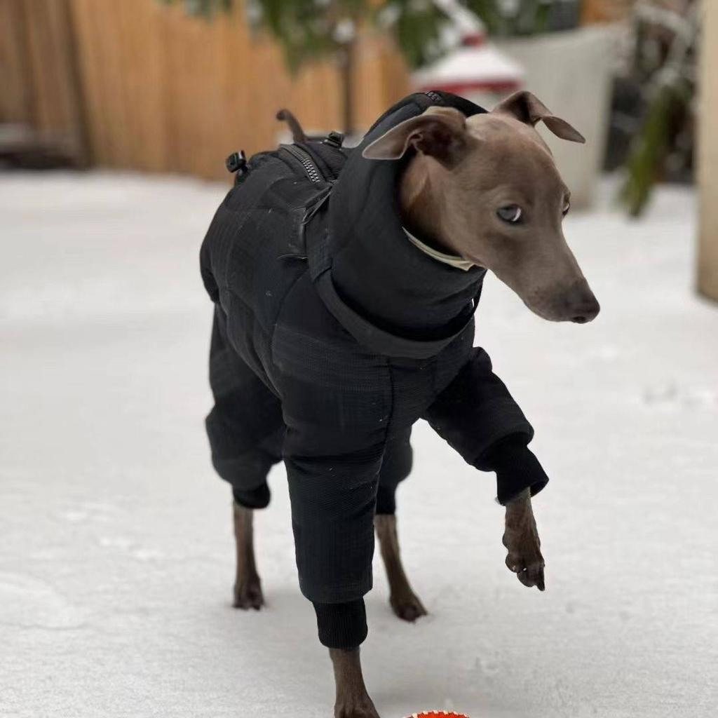 Large Dog Winter Clothes Warm Windproof Thicken Four Legged Puppy Clothes Greyhound Whibbit Dogs Accessories Supplies
