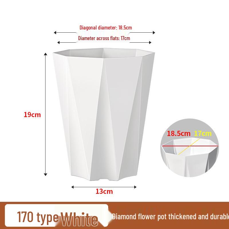 Large Plastic Flower Pot for Bonsai & Indoor Plants - Money Tree, Dragon Blood Tree, Bird of Paradise