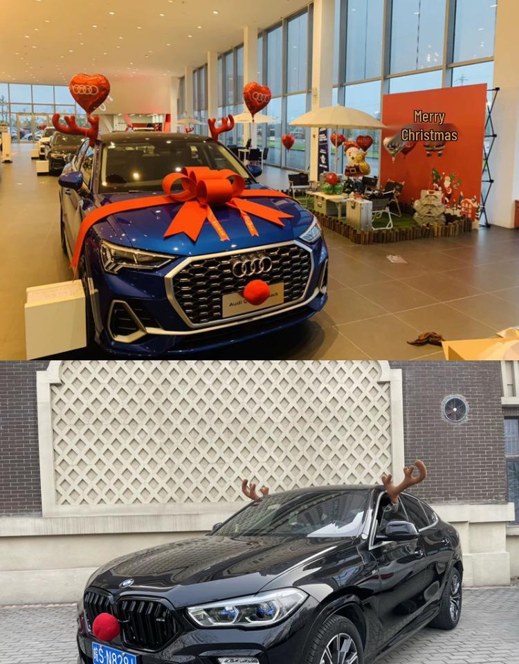 Vánoční dekorace - sobí parohy