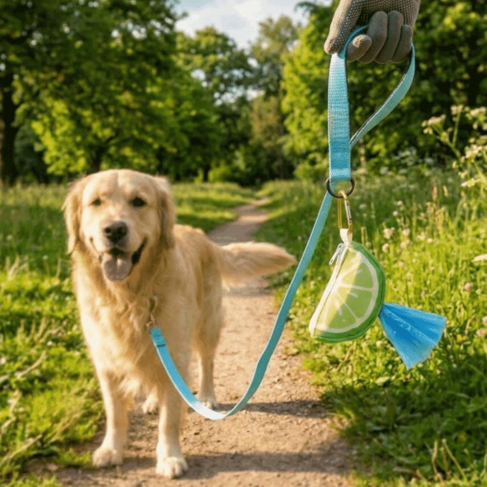 Colorful Dog Poop Bag Case Portable Pet Poop Bag Holder Pet Garbage Bag Dispenser  for Dog Cats