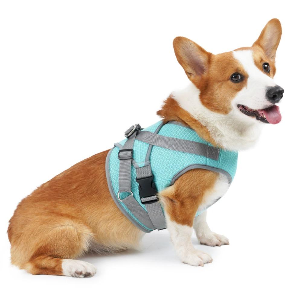 

Summer Cooling Dog Vest Breathable Mesh Clothes for Small Large Dogs Outdoor Pet Cool Down Jackets Adjustable Dog Cooler Coat 8-16kg
