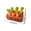 Baby Montessori Toys For Toddler ToysEducational Colorful Shape Toy Pull CarrotSetCounting Discouvery Toys For KidsLearning