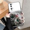Case For Honor 70 5G Cover Honor 70 Pro Soft Silicone Phone Back Funda For Huawei Honor 70 Lite Case Para Honor70 Pro Plus Paint