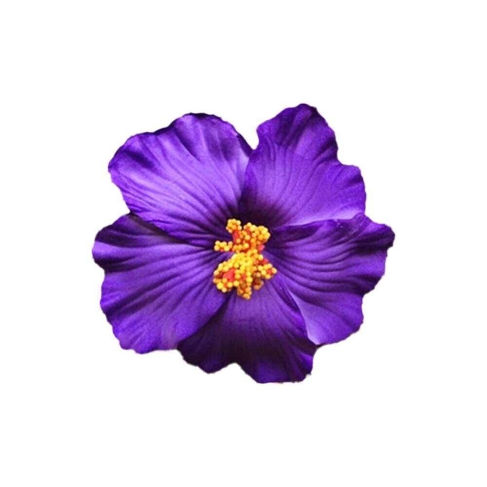 Headwear Hawaiian Flower Hair Clips Side Bangs Clip Hair Accessories BB Hair Clips Romantic Suitable Vacation Beach Parties