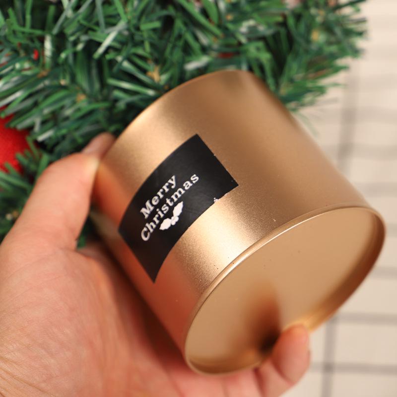 Hong Yu 30cm Christmas Tree Iron Box Ornament for Home Dining and Living Room Decoration