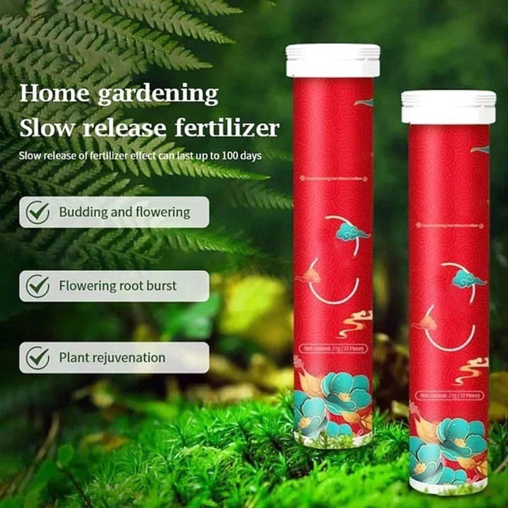 

Phosphorus Organic Fertilizer Potassium Growth Plant Nutrition Tablets Speed Up Slow-Release Tablet Plants Potted XXS