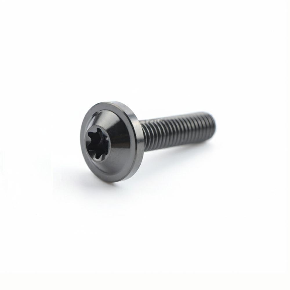 M6x15 Titanium Bolts M6x10 T30 Torx Bolts High Quality Titanium Screws