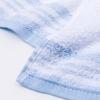 Nishikawa Washcloth, 34x90cm, 100% Cotton, Senshu Towel, Thin, Washable, Tenugui Size, Made In Japan, Blue, TT95000015