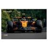 F1 Lando Norris Maxi Poster