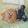 Stray Kids SKIZOO Han Quokka Japan MD Goods Doll Dominate