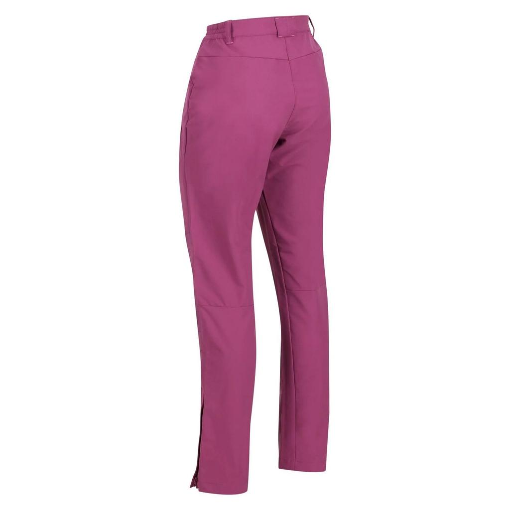 Regatta Womens/Ladies Questra IV Stretch Hiking Trousers