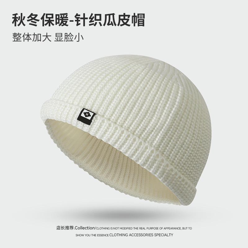 Patch small label wool hat casual versatile short brim street hip hop men's autumn and winter trendy melon rind hat
